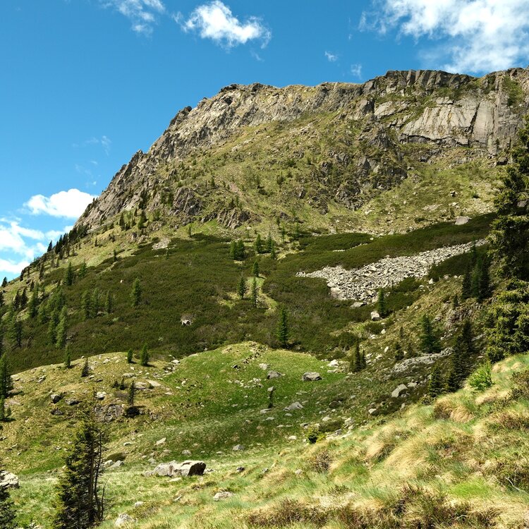 Habitat Cavallazza Piccola