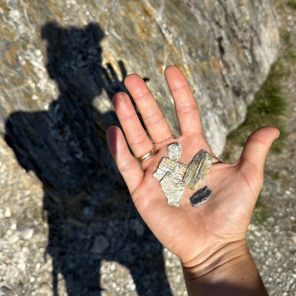 Vanoi Habitat Rocce Metamorfiche