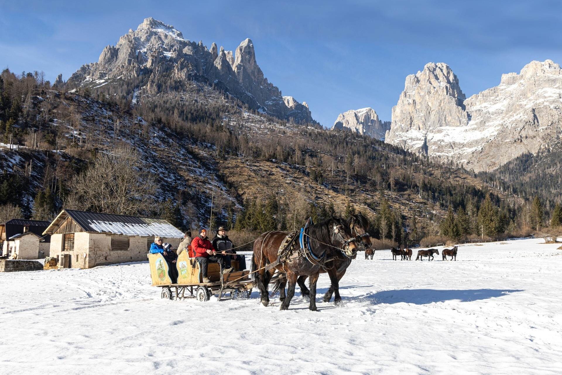 Giro in carrozza troika sulla neve in val canali
