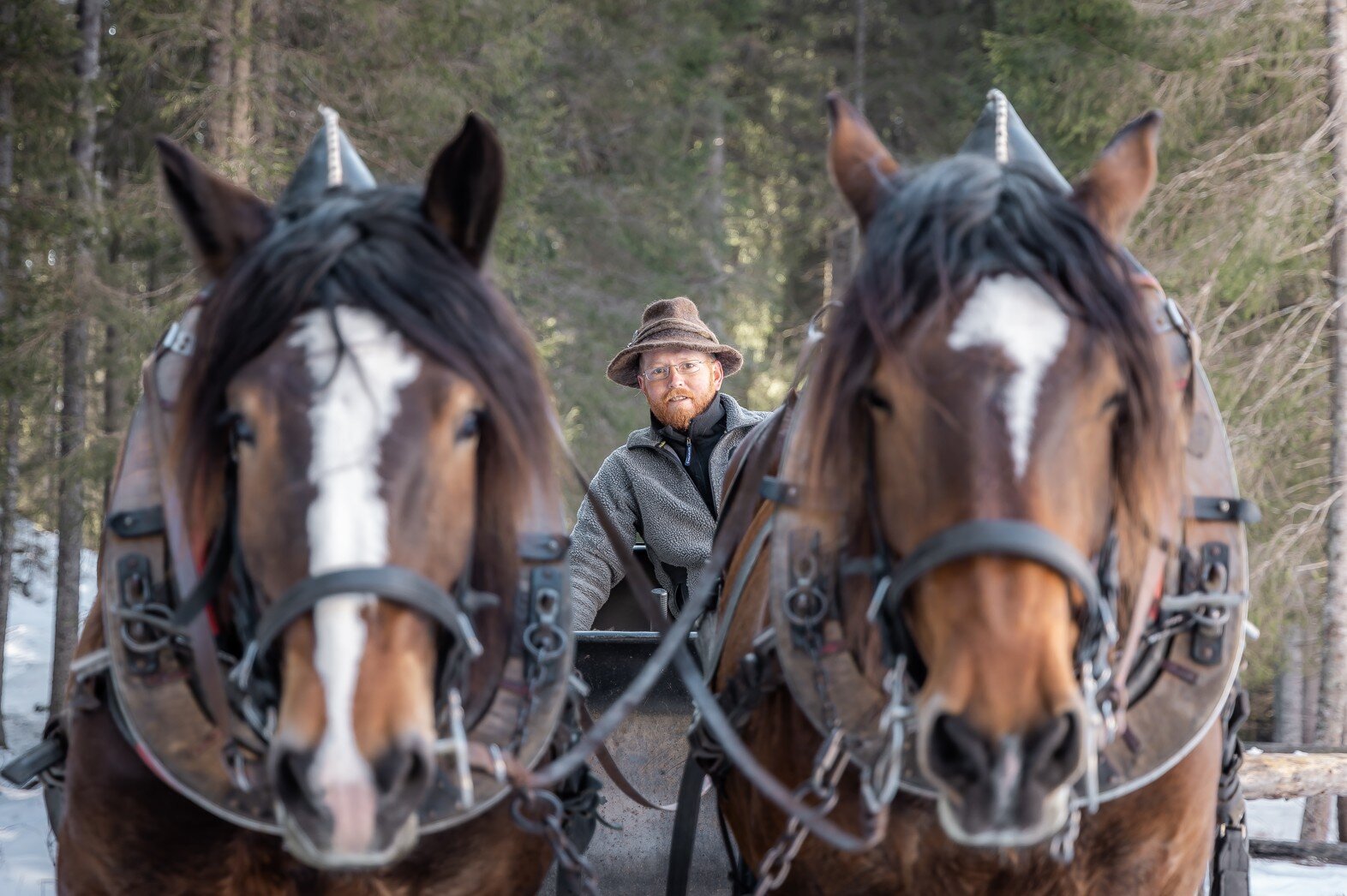Walter Zagonel Troika 2