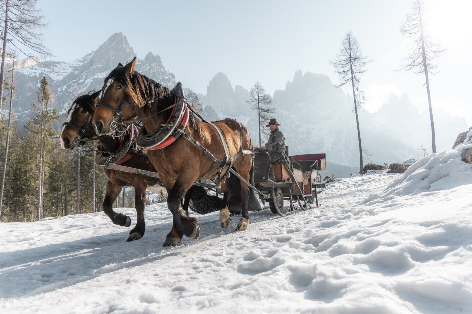 Walter Zagonel Troika 1