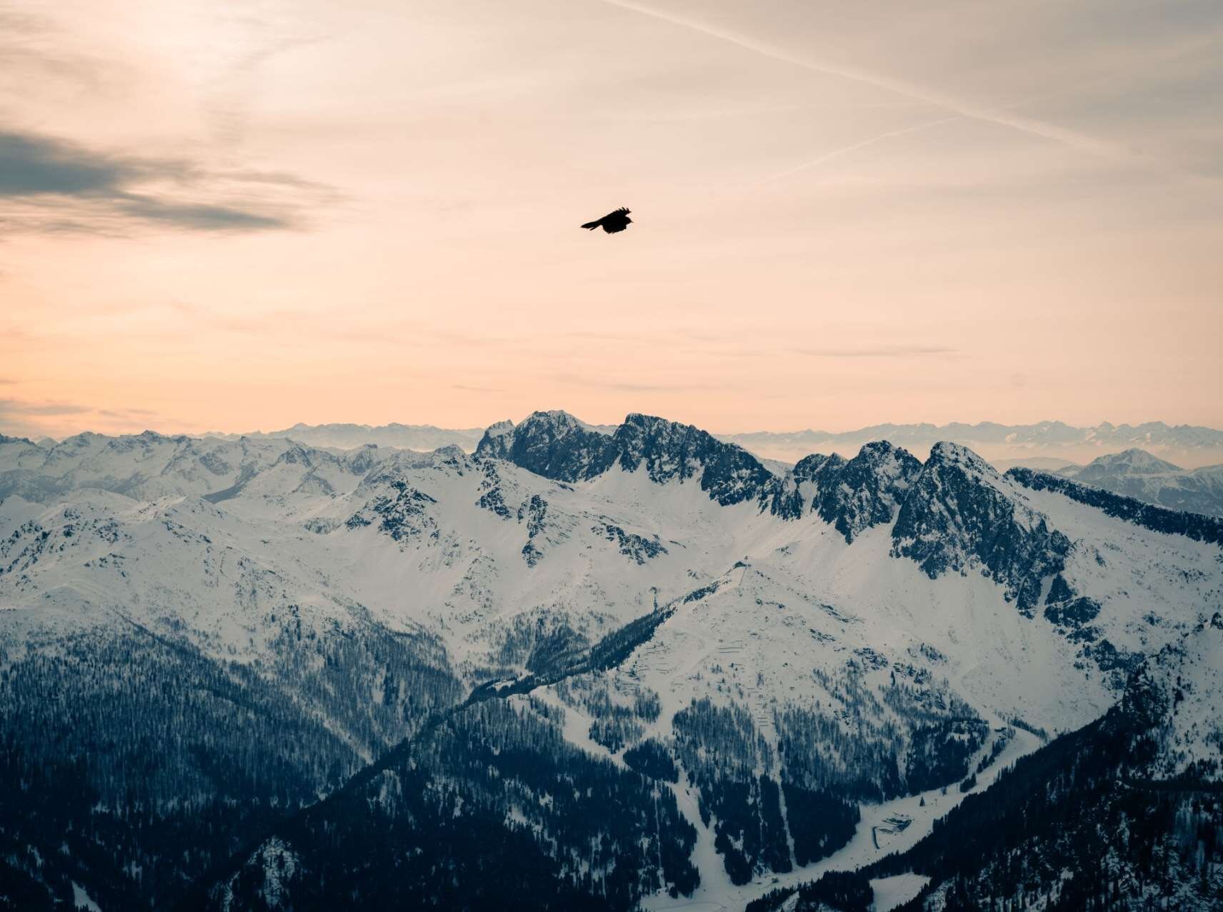 Panorama del Lagorai in inverno
