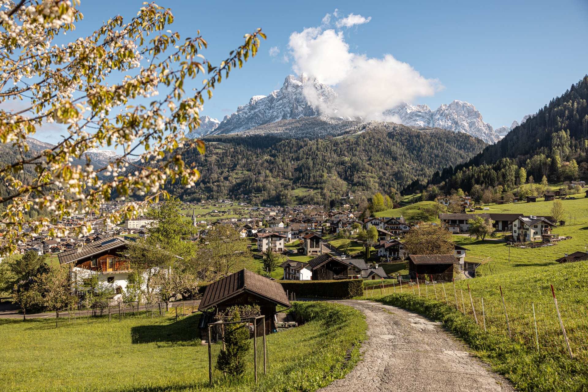 Pale di San Martino in primavera 