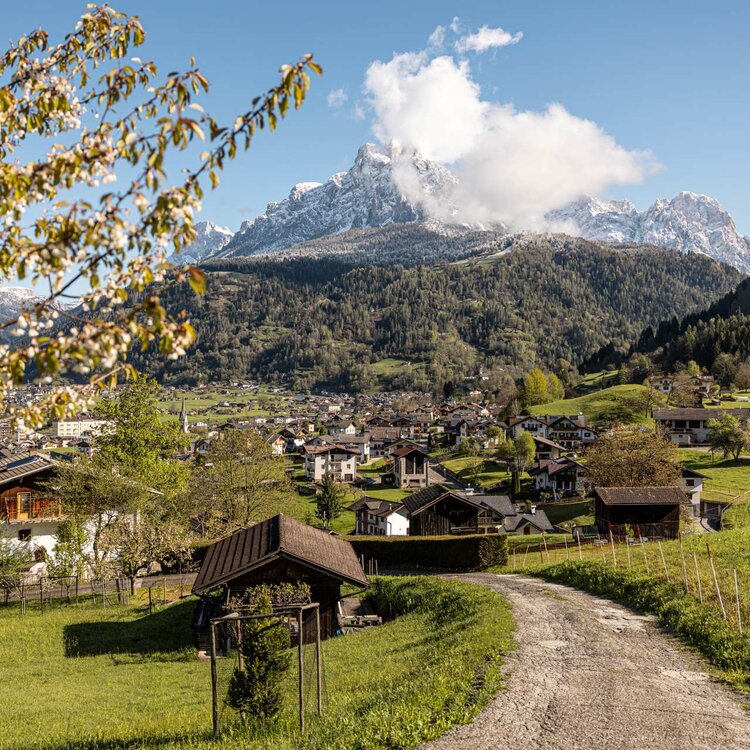 Pale di San Martino in primavera 