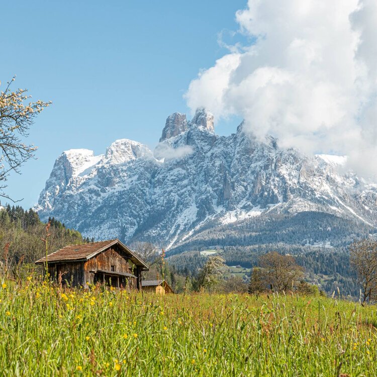 Inizio primavera sulle Pale di San Martino con neve sulle vette