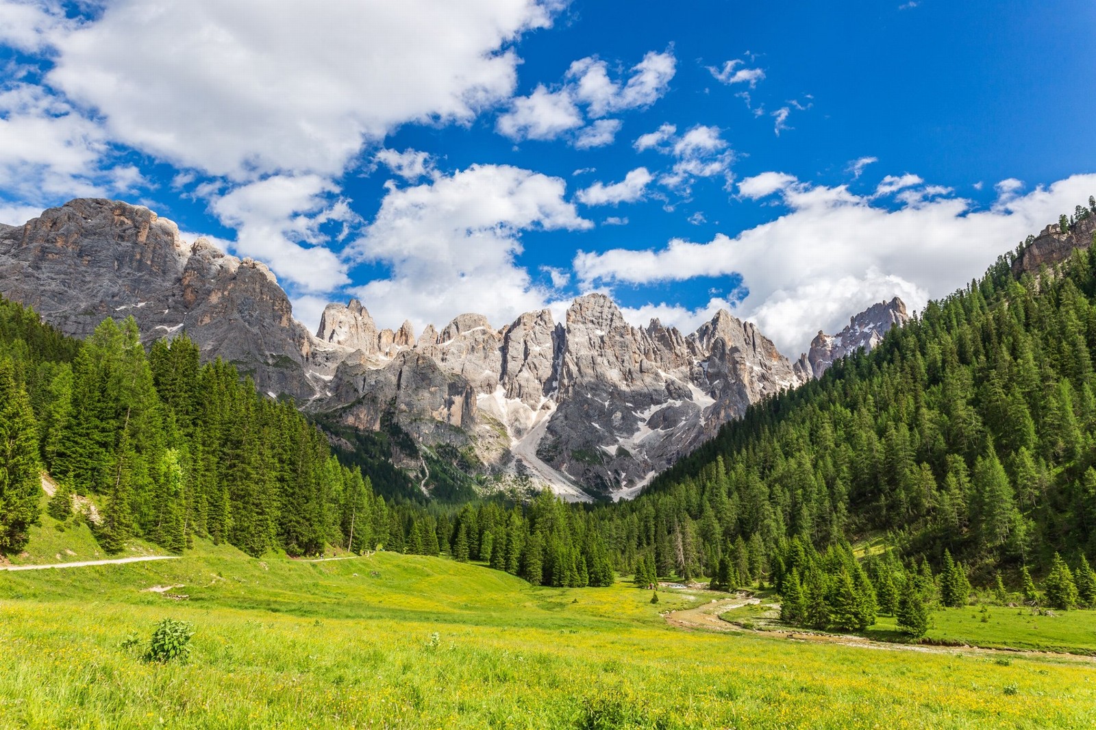 Inizia l'estate tra le Pale di San Martino