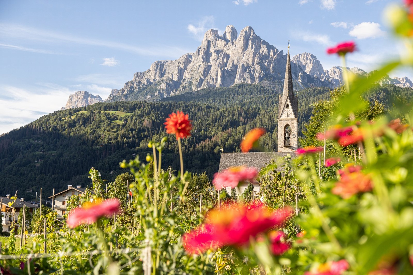 Primavera tra le Pale di San Martino