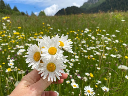 PRIMAVERA NEL VANOI