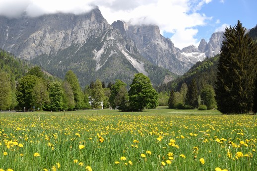 PRIMAVERA IN VAL CANALI