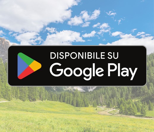 SCARICA SU GOOGLE PLAY