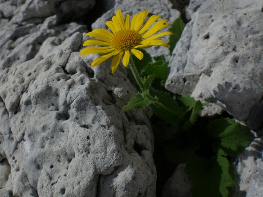 LE SETTIMANE DEL PARCO