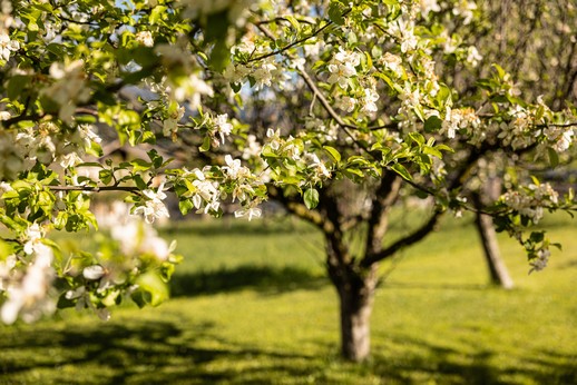 Esperienze Top Primavera