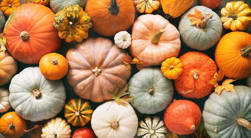 PRENOTA IL LABORATORIO DELLA FESTA DELLA ZUCCA