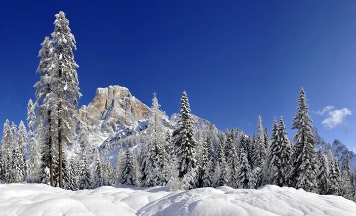 Dintorni di Primiero